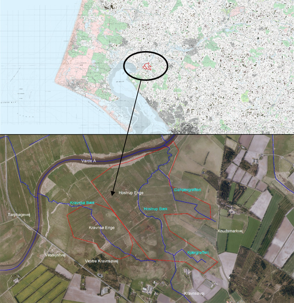 Oversigtskort over beliggenhed af undersøgelsesområdet for vådområdeprojekt ved Hostrup og Kravnsø Bæk. Undersøgelsesområde (rød streg), vandløb (blå streg).